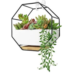 Ivolador Modern Wall Planter, Metal Wire Octagon Design Wall-Mounted Shelves with Ceramic Flower Pot, Air Plant Container Hanging Vase Desktop Succulents Planter-Black