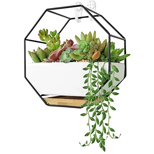 Ivolador Modern Wall Planter, Metal Wire Octagon Design Wall-Mounted Shelves with Ceramic Flower Pot, Air Plant Container Hanging Vase Desktop Succulents Planter-Black