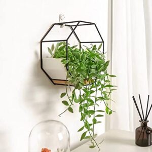 Ivolador Modern Wall Planter, Metal Wire Octagon Design Wall-Mounted Shelves with Ceramic Flower Pot, Air Plant Container Hanging Vase Desktop Succulents Planter-Black