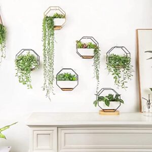 Ivolador Modern Wall Planter, Metal Wire Octagon Design Wall-Mounted Shelves with Ceramic Flower Pot, Air Plant Container Hanging Vase Desktop Succulents Planter-Black