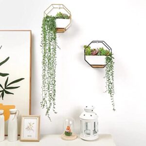 Ivolador Modern Wall Planter, Metal Wire Octagon Design Wall-Mounted Shelves with Ceramic Flower Pot, Air Plant Container Hanging Vase Desktop Succulents Planter-Black