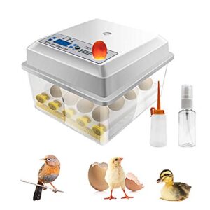 safego 16 eggs incubator for hatching eggs, digital mini incubator with automatic turner and egg candler tester for hatching chicken duck quail bird eggs