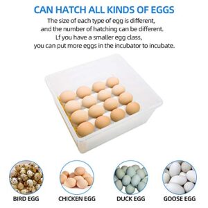 Safego 16 Eggs Incubator for Hatching Eggs, Digital Mini Incubator with Automatic Turner and Egg Candler Tester for Hatching Chicken Duck Quail Bird Eggs