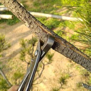 210mm Stainless Steel Garden Branch Cutter Long Handle Scissor Bonsai Tool for Garden Accessories