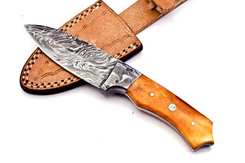 Nooraki SK-REG 44 Custom Handmade Damascus Steel Knife, Hunting knife, Camping knife, Survival Knife, Coloured Bone Handle, Full Tang with Leather Sheath