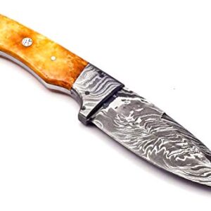 Nooraki SK-REG 44 Custom Handmade Damascus Steel Knife, Hunting knife, Camping knife, Survival Knife, Coloured Bone Handle, Full Tang with Leather Sheath