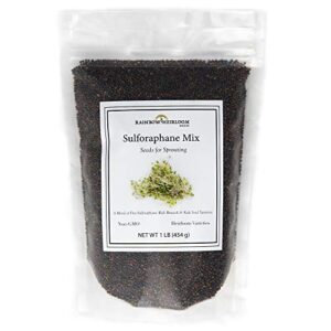 sulforaphane sprouting seed mix | perfect for sprouting jars & seed sprouters | 5 varieties of kale & broccoli sprouting seeds | non gmo heirloom seeds | 1 lb resealable bag | rainbow heirloom seed co
