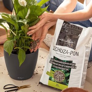 Lechuza 19561 PON Mineral Plant Substrate Potting Mix for Indoor Gardening, 6 Liter Bag, Grey