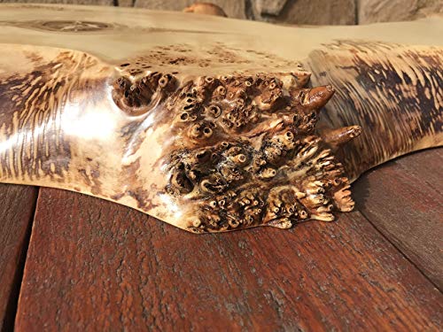 Table top from poplar burl slab, live edge table top, poplar burl, slab burl