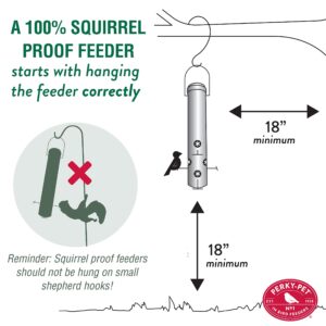 Perky-Pet 481F Finch Feeder With Flexports – 1.5 lb Capacity