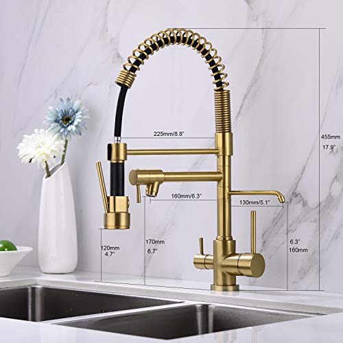 Delle Rosa Kitchen Faucet, 3 Way Drinking Water Faucet, 3 in 1 Water Purifier Faucets, High Arc and Dual Handles Commercial Kitchen Faucet Brushed Gold