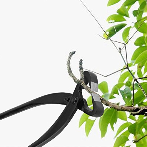 Bonsai Tools, Professional Grade Sharp Stems Branches Cutters Bonsai Cutter Bonsai Trimming Tools Bonsai Trimmers for Bonsai Pruning Garden Bonsai Tools(210mm)