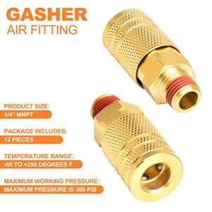 GASHER 12PCS 1/4-Inch Brass Male Industrial Coupler,1/4 Inch NPT Male Threads Size, Quick Connect Air Coupler