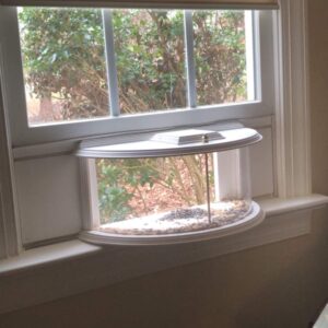 Clearview Window Bird Feeder by Paradise Birdhouses