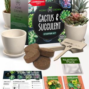 Succulent & Cactus Seed Kit for Planting – [Enthusiasts Favorites] Premium Cactus & Succulent Starter Kit: 4 Planters, Drip Trays, Markers, Seeds Mix, Soil - DIY Gift Kits (Original Edition)