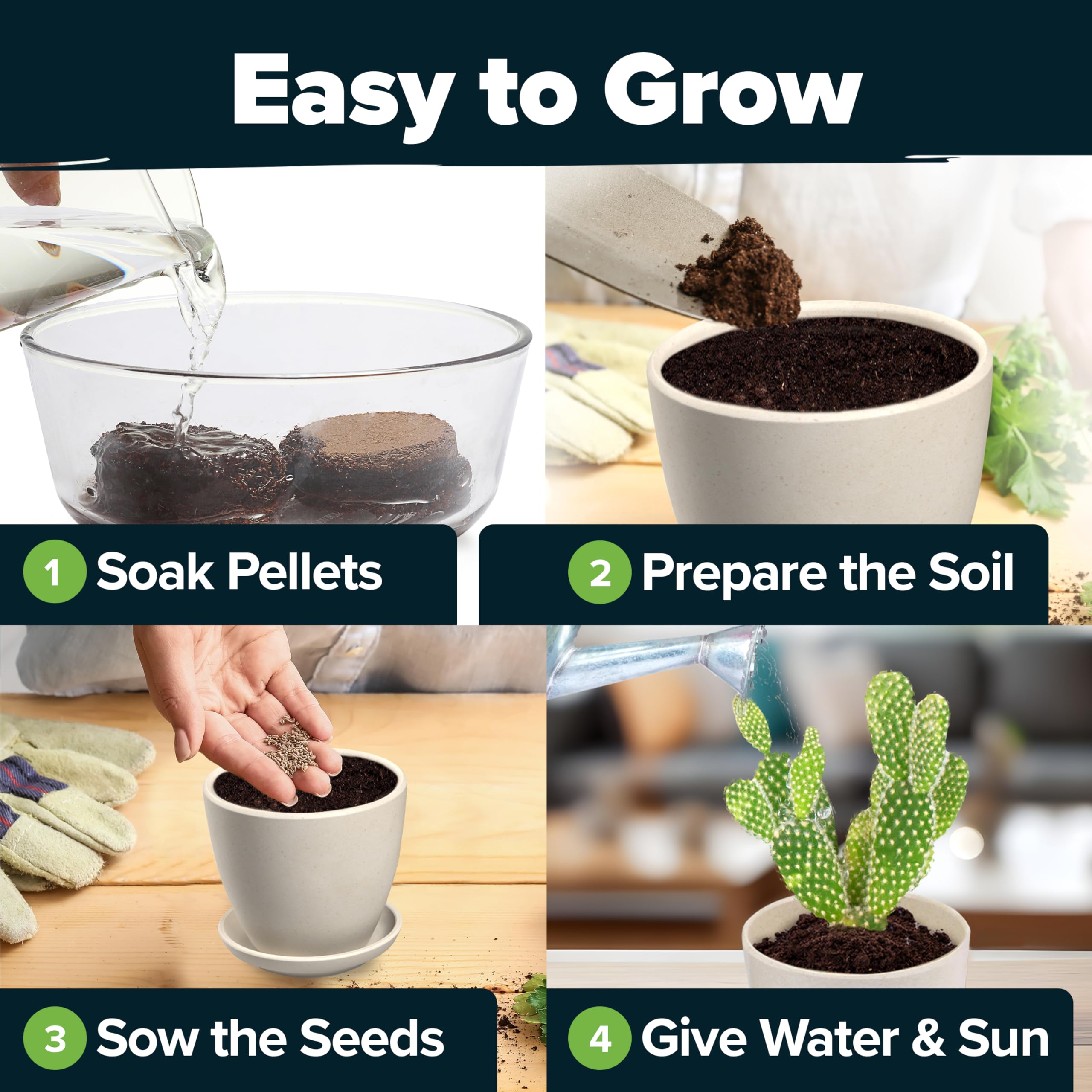 Succulent & Cactus Seed Kit for Planting – [Enthusiasts Favorites] Premium Cactus & Succulent Starter Kit: 4 Planters, Drip Trays, Markers, Seeds Mix, Soil - DIY Gift Kits (Original Edition)