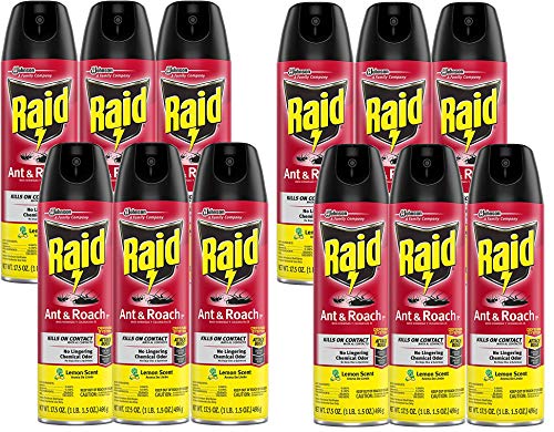 Raid Ant & Roach Killer Lemon Scent, 17.5 OZ (12)