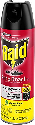 Raid Ant & Roach Killer Lemon Scent, 17.5 OZ (12)