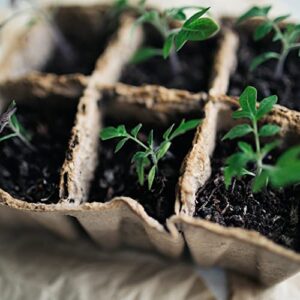 2BFFS.COM Seedling Tray- Germination Kit-Organic Biodegradable Pea Pots Starter Kit, 10PK Peat Pots Seed Starter Trays, 120 Cells. Organic Plant Starter Kit with 12 Plant Labels