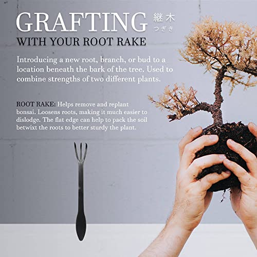 BambooMN Bonsai Root Rake Tool - 3 Pieces