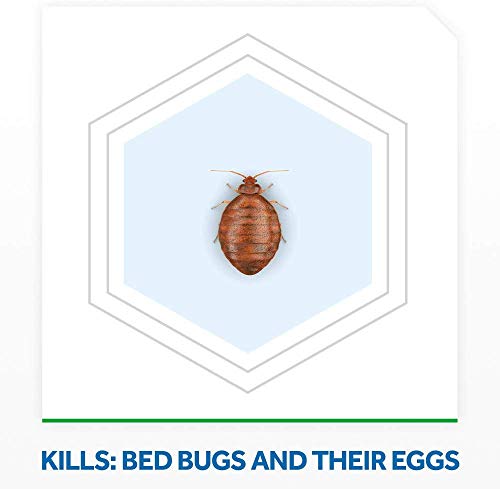 Raid Max Foam Bed Bug 17.5 Ounce (Pack of 3)