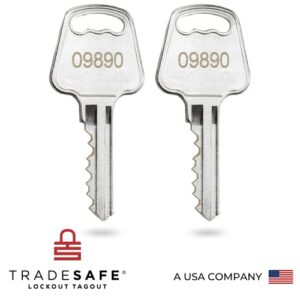 TRADESAFE Lockout Tagout Locks Set - 10 Red Loto Locks, Lockout Locks Keyed Different, 2 Keys Per Lock, OSHA Compliant Lock Out Tag Out Padlocks, Safety Padlocks for Electrical Lockout Tag Out Kits