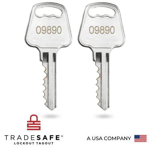 TRADESAFE Lockout Tagout Locks Set - 10 Red Loto Locks, Lockout Locks Keyed Different, 2 Keys Per Lock, OSHA Compliant Lock Out Tag Out Padlocks, Safety Padlocks for Electrical Lockout Tag Out Kits