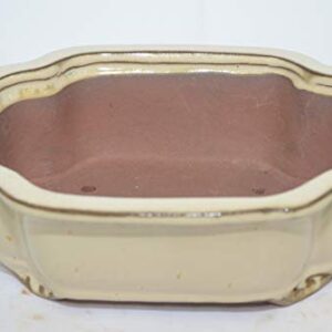 Bonsai Ceramic Pot 8" Beige Color, Glaze with draining Holes.