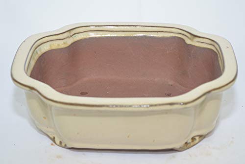 Bonsai Ceramic Pot 8" Beige Color, Glaze with draining Holes.