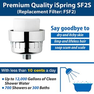 iSpring FSF2 15-Stage Universal Shower Filter Replacement Cartridge, Improves Conditions of Skin, Hair, and Nails, White