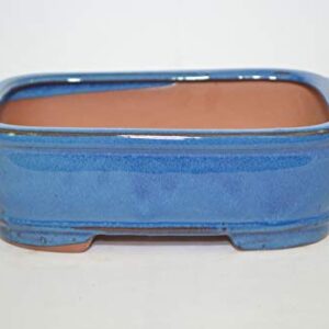 Bonsai Ceramic Pot 7", Blue Color, Rectangle Shape, Glazed with draining Holes.