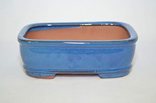 Bonsai Ceramic Pot 7", Blue Color, Rectangle Shape, Glazed with draining Holes.