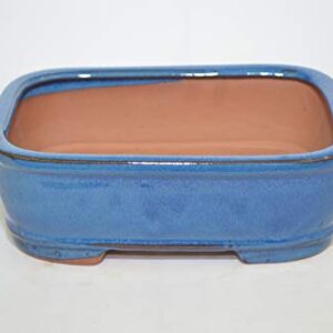 Bonsai Ceramic Pot 7", Blue Color, Rectangle Shape, Glazed with draining Holes.