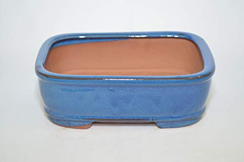 Bonsai Ceramic Pot 7", Blue Color, Rectangle Shape, Glazed with draining Holes.