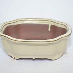 Bonsai Ceramic Pot 7", Hexagon Shape, Beige Color, Glazed with draining Holes.