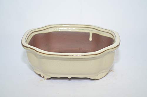 Bonsai Ceramic Pot 7", Hexagon Shape, Beige Color, Glazed with draining Holes.