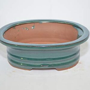 Bonsai Ceramic Pot 7", Teal Color, Oval Shape,Glazed with draining Holes.