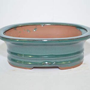 Bonsai Ceramic Pot 7", Teal Color, Oval Shape,Glazed with draining Holes.