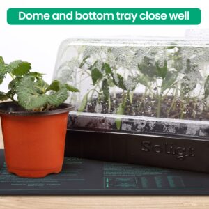 2 Set 60-Cell Seed Starter Kit - Strong Seed Trays with Humidity Domes, Cell Trays and Seedling Heat Mats - Cloning, Propagation and Germination Station