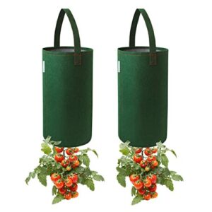 pri gardens upside down tomato planter, 2- pack(requires plants,soil and fertilizer, not included)