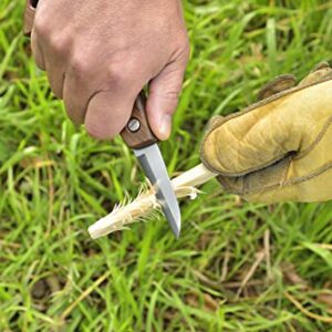 KAKURI Japanese Wood Carving Knife Folding 2.3" (Double Bevel), Made in JAPAN, Japanese White Steel No.2 Blade, Pocket Knife for Woodworking, Woodcarving, Outdoor, Camp, Bushcraft, Brown