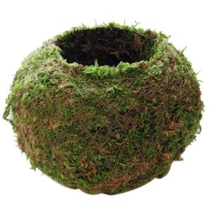 Forart 6 Inch Natural Planter Weave Moss Ball Kokedama Planter Bonsai Plant Flower Pot Garden Decor Flower Holder Pot Garden Plant Potted Hydrating Flowerpot