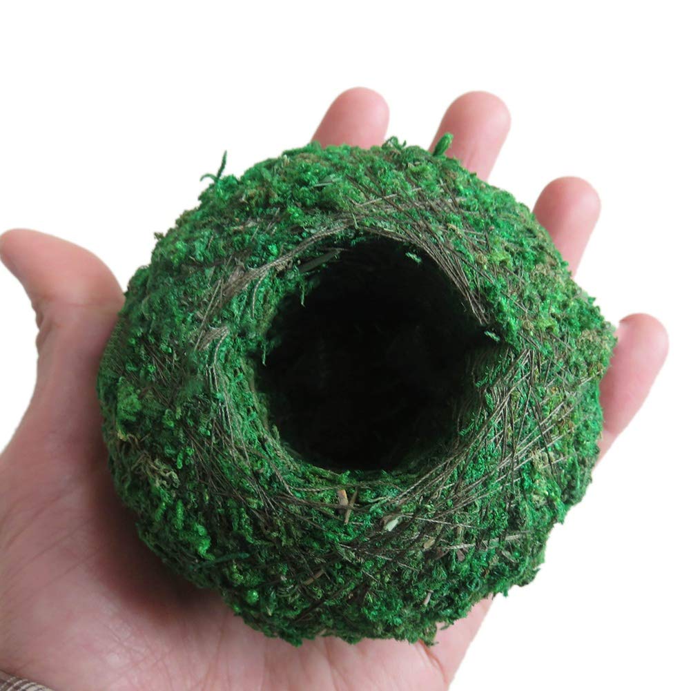 Forart 6 Inch Natural Planter Weave Moss Ball Kokedama Planter Bonsai Plant Flower Pot Garden Decor Flower Holder Pot Garden Plant Potted Hydrating Flowerpot