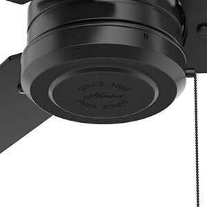 HUNTER 50260 Cassius Outdoor Ceiling Fan with Pull Chain, 44", Matte Black Finish