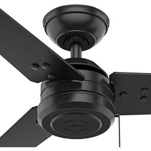 HUNTER 50260 Cassius Outdoor Ceiling Fan with Pull Chain, 44", Matte Black Finish