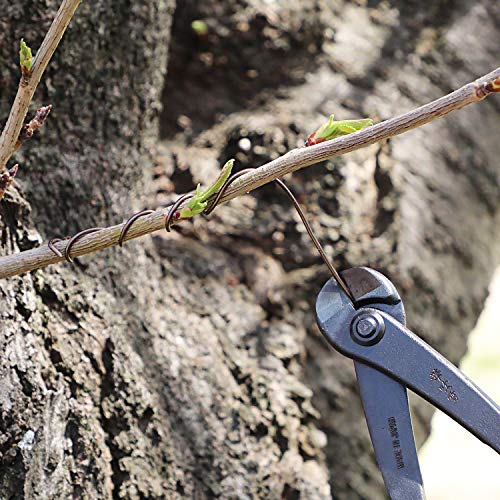 Wazakura Hanafubuki Hand Forged Bonsai Tree Wire Cutter MADE IN JAPAN 7.7inch (195mm), Japanese Garden Tool, Rounded Ends - Black