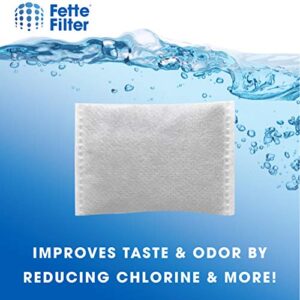 Fette Filter - Countertop Distillers Water Filters Compatible with Megahome and Other Counter Top Water Distiller Models - Pack of 24