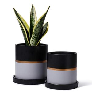 potey 052004 planter pots indoor - 4.9 & 3.9 inch modern home decor cylinder ceramic flowerpot bonsai container with drainage holes&saucer for indoor plants flower succulent(plants not included)