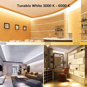 Lepro LED Strip Light, 3000K-6000K Tunable White, 16.4ft Dimmable Bright LED Tape Lights, 300 LEDs 2835, Strong 3M Adhesive, Suitable for Home, Kitchen, Under Cabinet, Bedroom