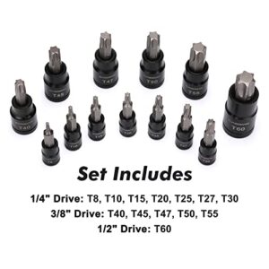 CASOMAN 25 Piece Torx Bit Socket and External Socket Set, 13 Star Socket Bits (T8- T60)& 12 Female E-Torx Sockets (E4-E22)